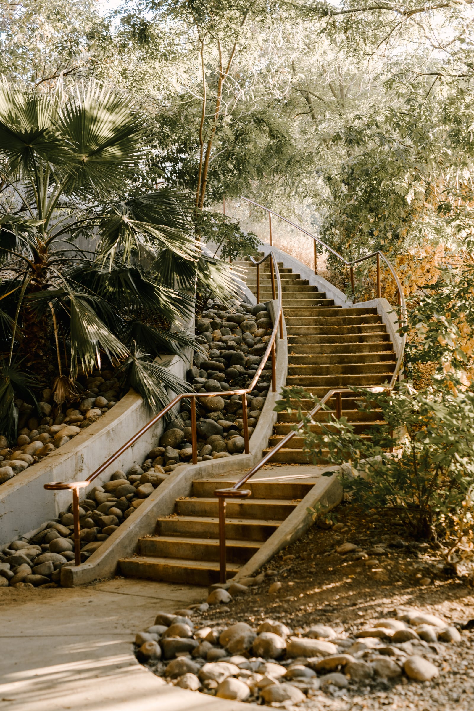 Landscaped steps and trail through greenery in Historic Folsom