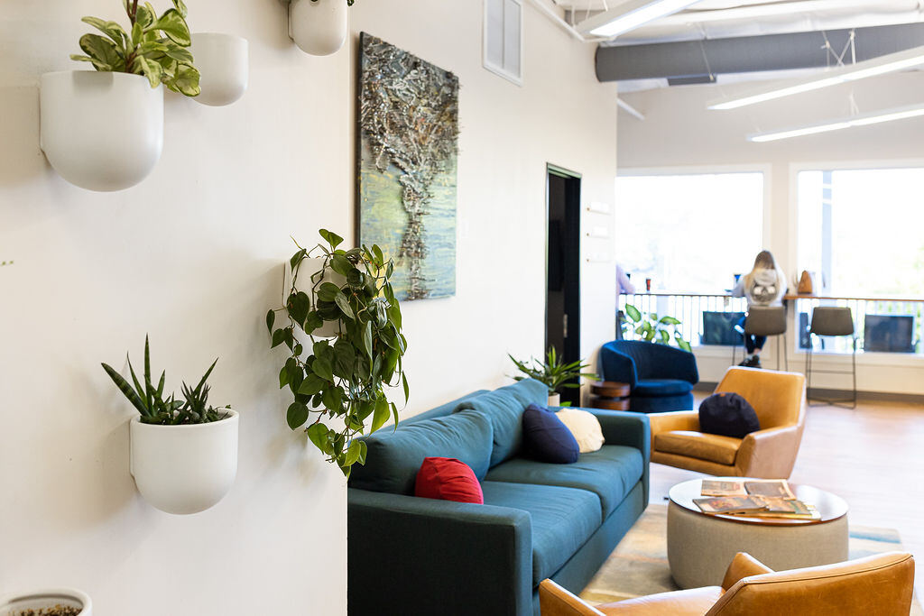 Bright coworking lounge with a blue sofa, leather armchairs, and hanging plants